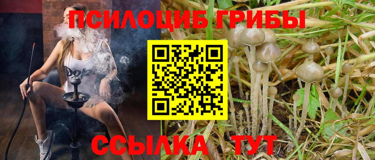Галлюциногенные грибы мицелий Корсаков