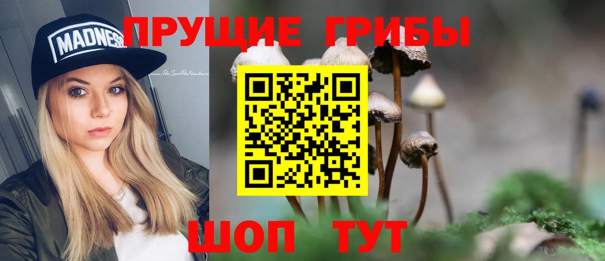 Корсаков  Галлюциногенные грибы ЛСД  Вход с VPN 